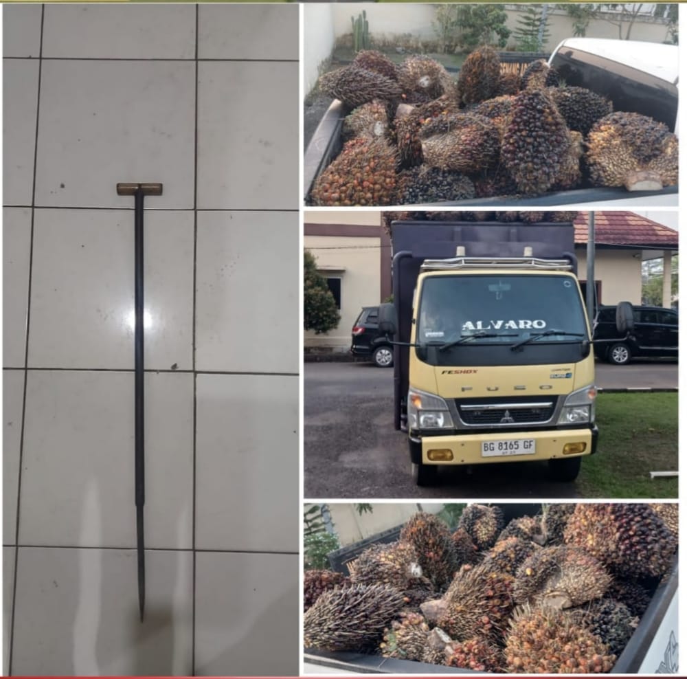 Gelapkan Buah Sawit Perusahaan, SP Mendekam di Balik Jeruji Besi Polres Musi Rawas 