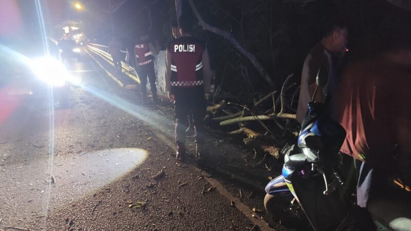 Personil Sat Samapta Polres Lubuklinggau Dengan Sigap Bantu Warga Mengevakuasi Pohon Yang Melintang Dibahu Jalan