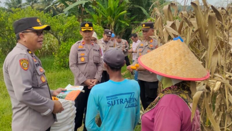 Dukung Asta Cita Dibidang Pangan, Polres Musi Rawas Bersama Polsek Purwodadi Gelar Bimbingan Penyuluhan di Lahan Jagung di Desa Rejosari