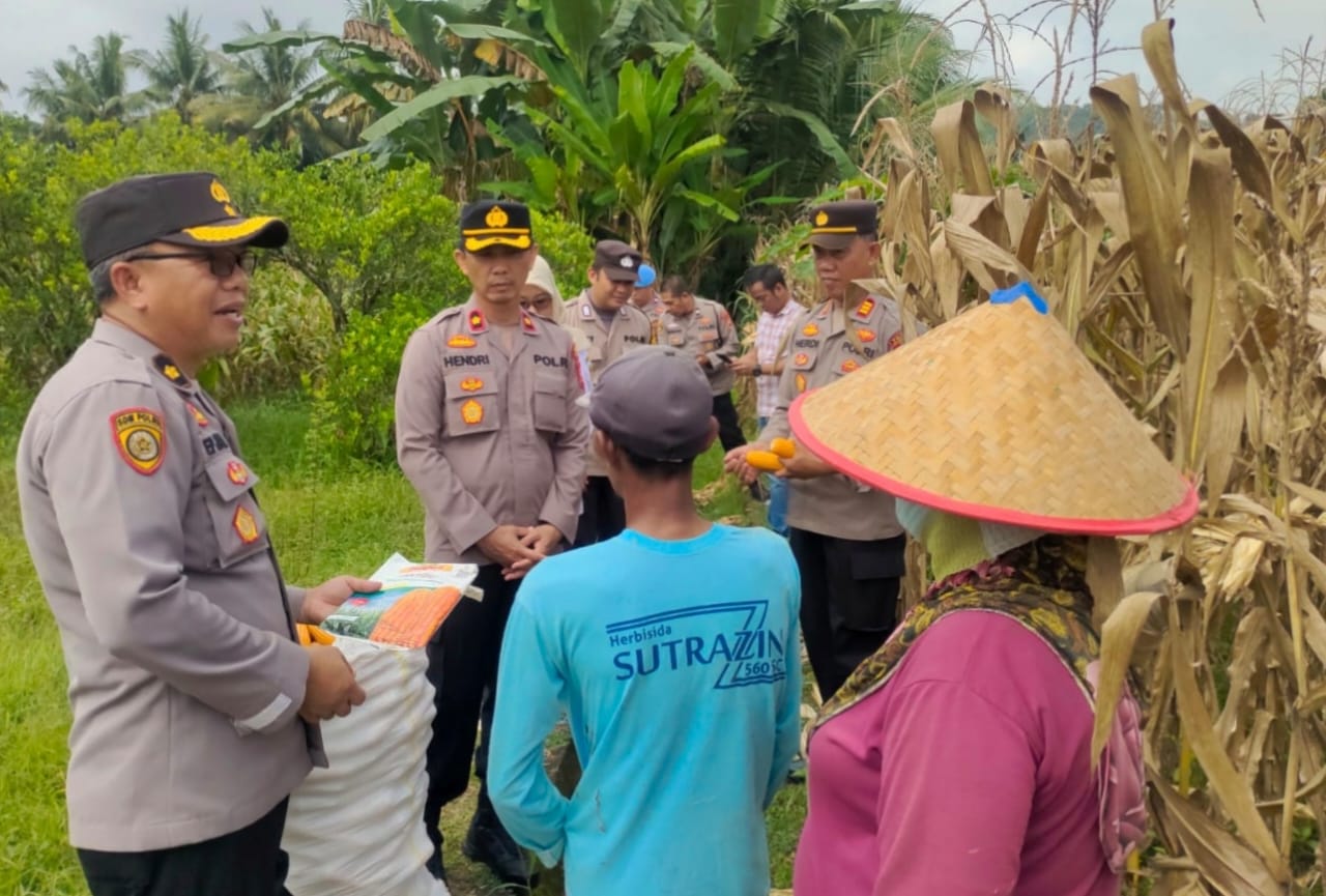 Dukung Asta Cita Dibidang Pangan, Polres Musi Rawas Bersama Polsek Purwodadi Gelar Bimbingan Penyuluhan di Lahan Jagung di Desa Rejosari