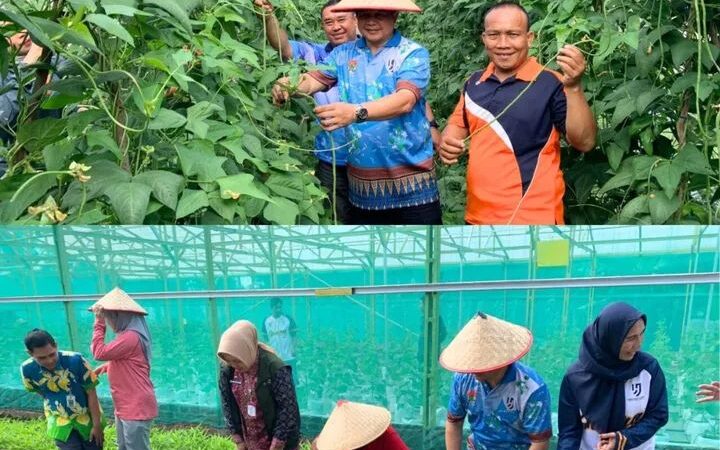 Panen Sayur dan Vaksinasi Rabies Gratis, Pemkot Lubuk Linggau Dukung Gerakan Zero Rabies