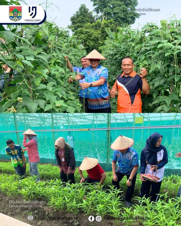 Panen Sayur dan Vaksinasi Rabies Gratis, Pemkot Lubuk Linggau Dukung Gerakan Zero Rabies
