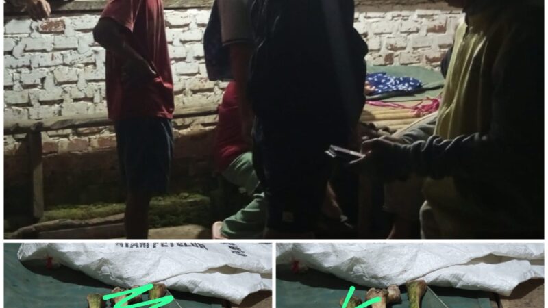 Adanya Informasi Penemuan Tulang Belulang, Sontak Membuat Warga Sekitar Musi Rawas Geger dan Berbondong-Bondong Menuju Lokasi