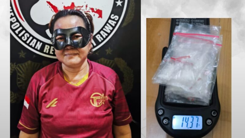 Tim Elang Musi Satres Narkoba Polres Musi Rawas dibackup Personel Polsek BTS Ulu Berhasil Menangkap Pelaku NR Ibu Rumah Tangga