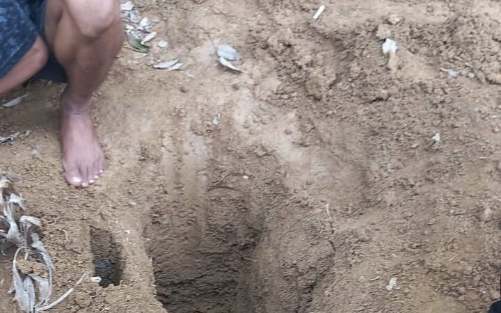 Diduga Digali OTD, Polsek Tugumulyo Polres Musi Rawas Lakukan Penyelidikan di Makam Alm. Wagiyo