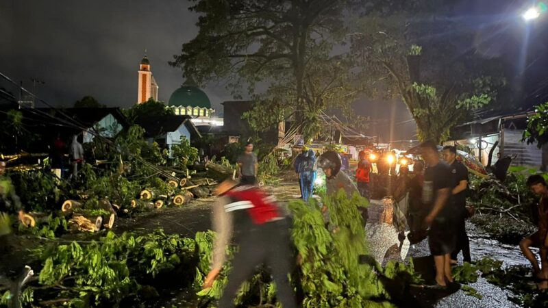 Pohon Besar Lubuklinggau  umbang dan melintang di tengah Besar Tumbang dan Melintang di tengah Jalan ,Satsamapta Polres Lubuklinggau Terjun ke Lokasi 
