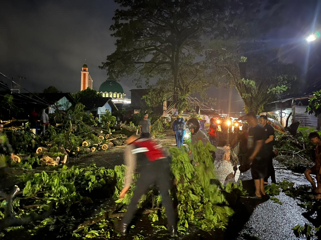 Pohon Besar Lubuklinggau  umbang dan melintang di tengah Besar Tumbang dan Melintang di tengah Jalan ,Satsamapta Polres Lubuklinggau Terjun ke Lokasi 