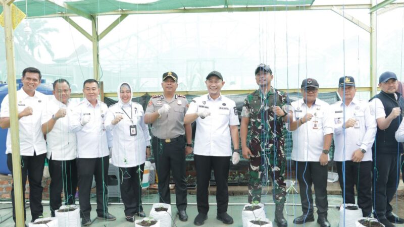Dukung Kemandirian Pangan Nasional ,Kapolres Lubuk Linggau, AKBP Adithia Bagus Arjunadi, Hadiri kegiatan Panen Raya 