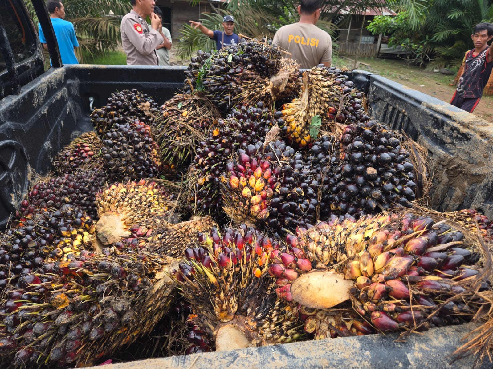 Unit Reskrim Polsek BTS Ulu Bersama Warga Amankan Pelaku Pencurian Sawit