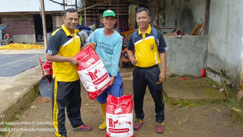 Polres Lubuk Linggau Serahkan Benih Jagung Hibrida Kepada Kelompok Tani, Dukung Sektor Pertanian Sebagai Salah Satu Pilar Penting Ketahanan Pangan Daerah