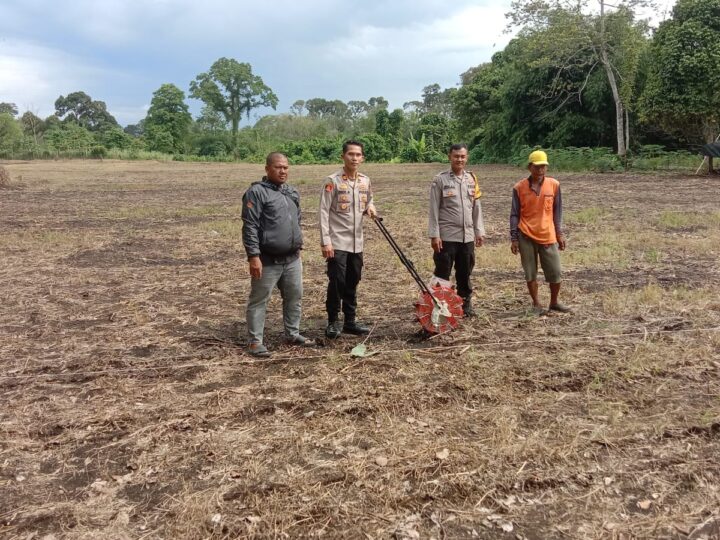 Kapolsek Lubuklinggau Selatan 1 beserta jajaran juga menyisihkan waktu sejenak untuk turun langsung Keareal Lahan Penanaman Bibit Jagung 