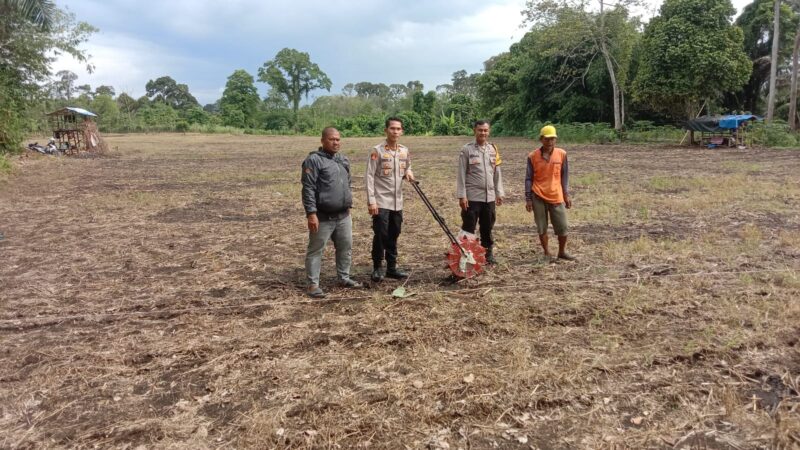 Kapolsek Lubuklinggau Selatan 1 beserta jajaran juga menyisihkan waktu sejenak untuk turun langsung Keareal Lahan Penanaman Bibit Jagung 