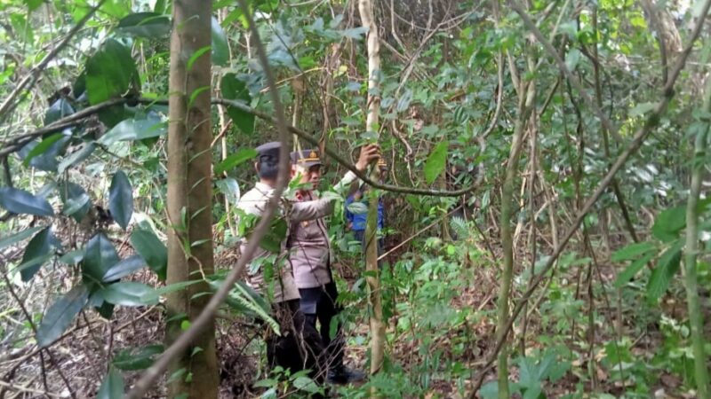 Polsek Jayaloka Bersama Tim Gabungan Survei Lokasi Pemasangan Perangkap Beruang Madu di Sukakarya