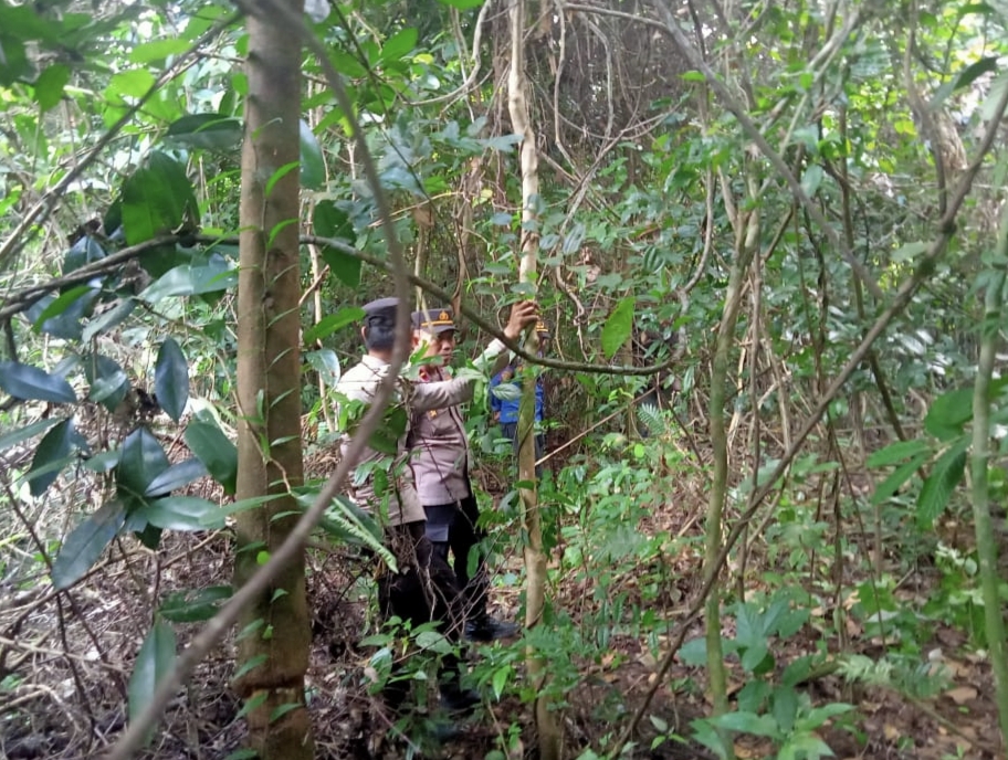 Polsek Jayaloka Bersama Tim Gabungan Survei Lokasi Pemasangan Perangkap Beruang Madu di Sukakarya
