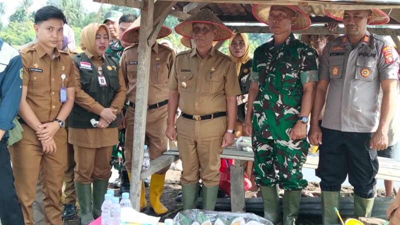 Menghadapi Tantangan Anomali Cuaca fenomena El Niño , Polres Lubuk Linggau Lakukan Penanaman Jagung Serentak