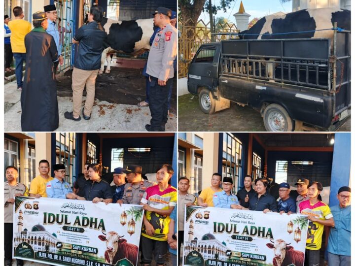 Kapolda Sumsel Irjen Pol. Dr. H. Sandi Nugroho, S.I.K., S.H., M.Hum., Berkurban Berupa Dua Ekor Sapi Berukuran Jumbo di Kota Lubuk Linggau