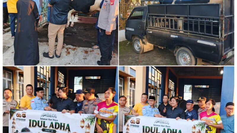 Kapolda Sumsel Irjen Pol. Dr. H. Sandi Nugroho, S.I.K., S.H., M.Hum., Berkurban Berupa Dua Ekor Sapi Berukuran Jumbo di Kota Lubuk Linggau