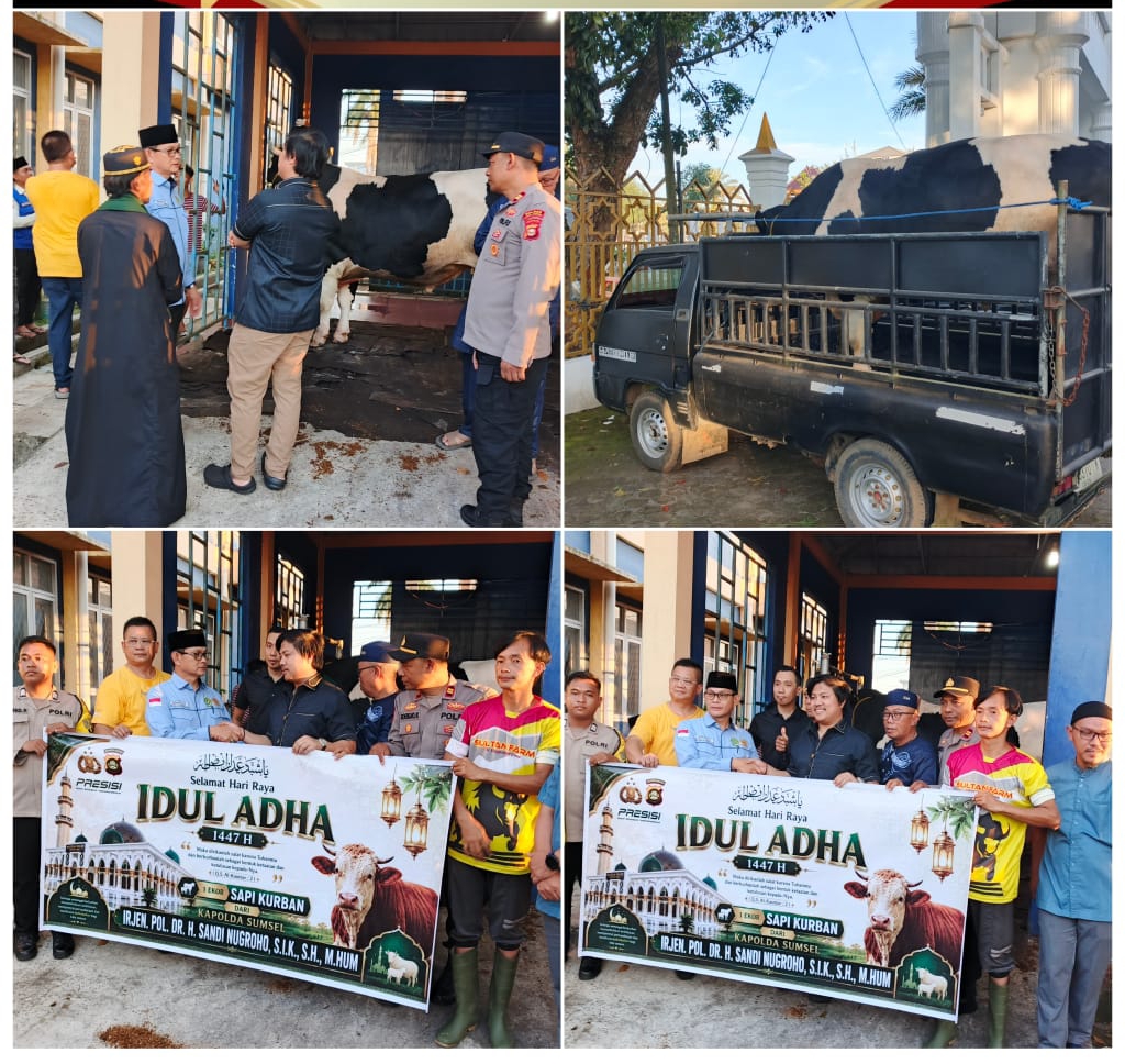 Kapolda Sumsel Irjen Pol. Dr. H. Sandi Nugroho, S.I.K., S.H., M.Hum., Berkurban Berupa Dua Ekor Sapi Berukuran Jumbo di Kota Lubuk Linggau