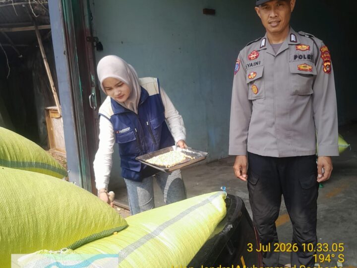 Dukung Ketahanan Pangan Nasional, Polsek Jayaloka Polres Musi Rawas Kawal Penyerapan Hasil Panen Jagung Petani ke Gudang Bulog