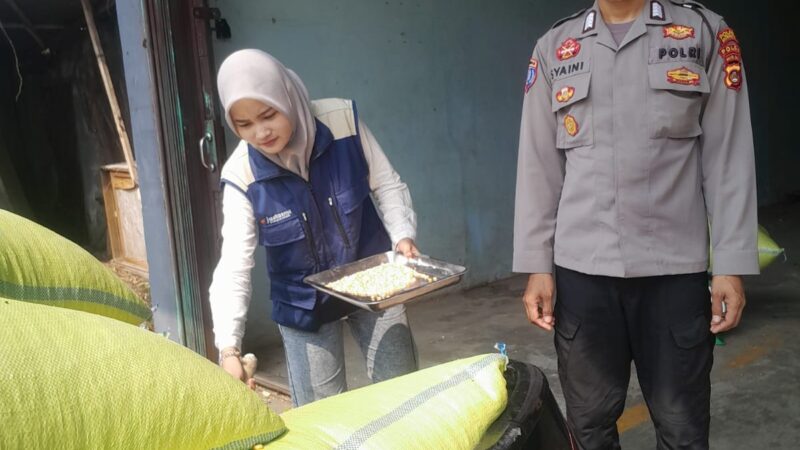 Dukung Ketahanan Pangan Nasional, Polsek Jayaloka Polres Musi Rawas Kawal Penyerapan Hasil Panen Jagung Petani ke Gudang Bulog